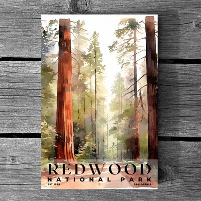 Redwood National and State Parks Poster, Travel Art, Office Poster, Home Decor | S4 - image3